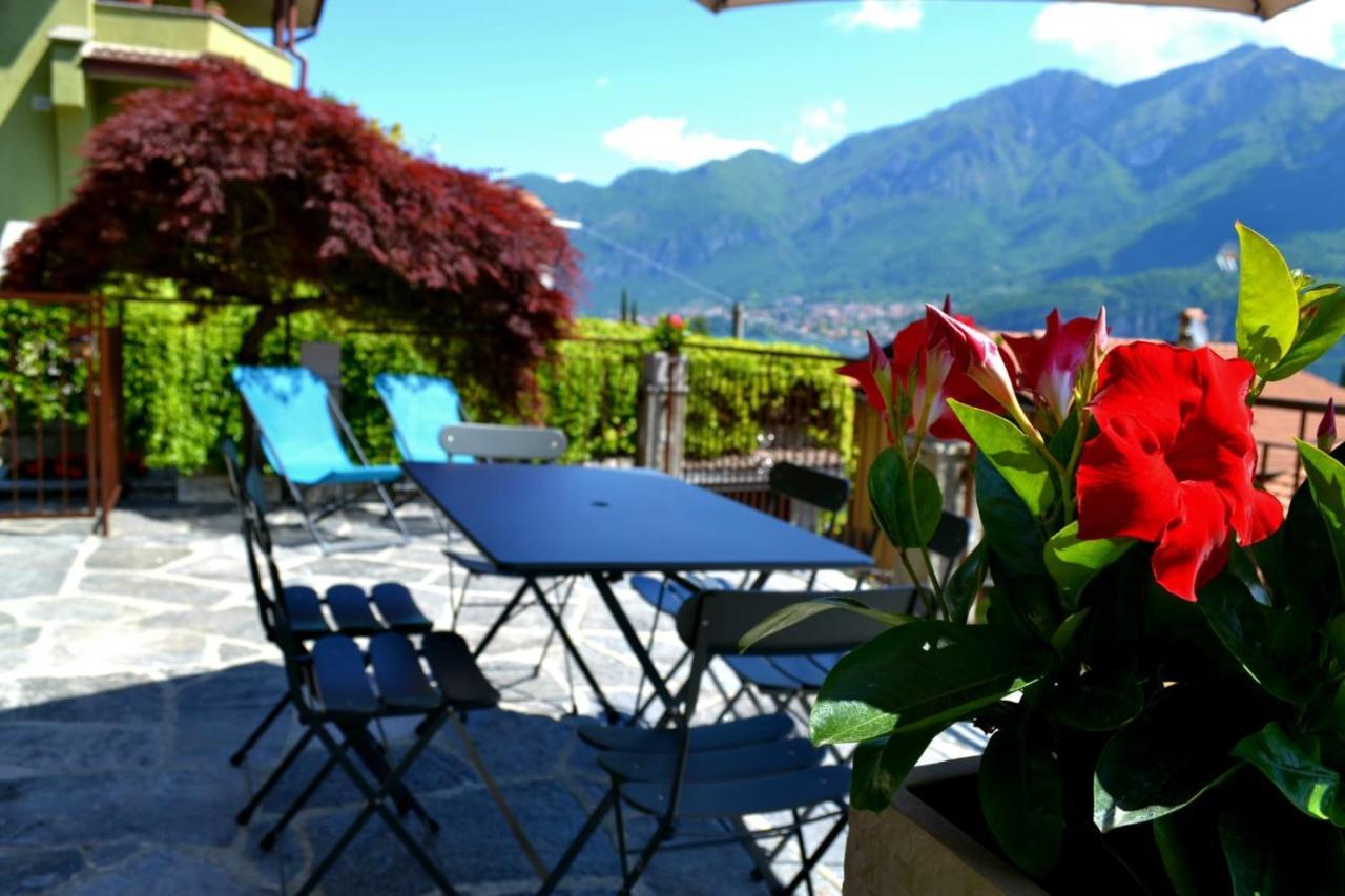 Le Grigne Guesthouse - The Garden Oliveto Lario Εξωτερικό φωτογραφία