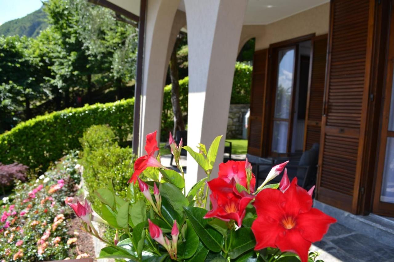 Le Grigne Guesthouse - The Garden Oliveto Lario Εξωτερικό φωτογραφία