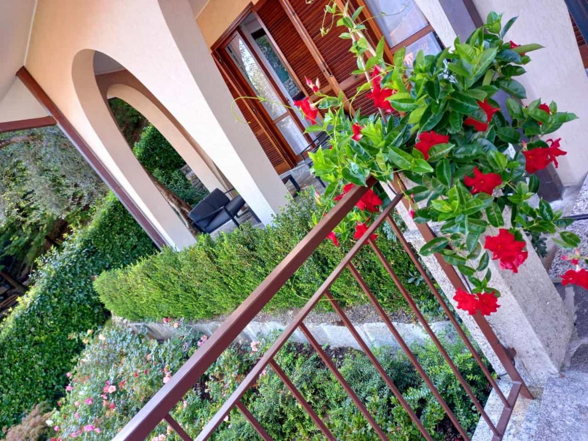Le Grigne Guesthouse - The Garden Oliveto Lario Εξωτερικό φωτογραφία